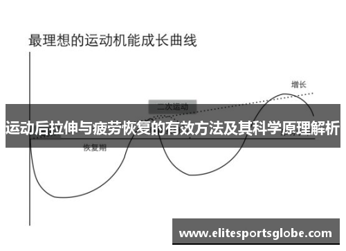 运动后拉伸与疲劳恢复的有效方法及其科学原理解析